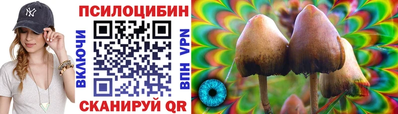 MEGA маркетплейс  Камышлов  Галлюциногенные грибы мухоморы 